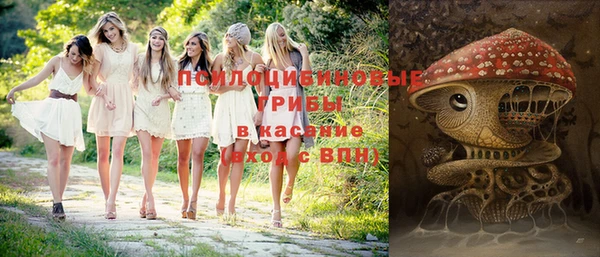 круглые Белокуриха