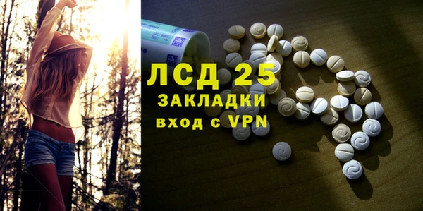 индика Белоозёрский