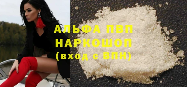 индика Белоозёрский
