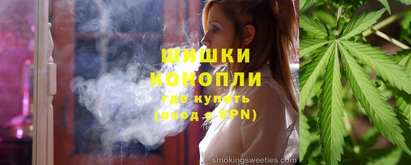 индика Белоозёрский